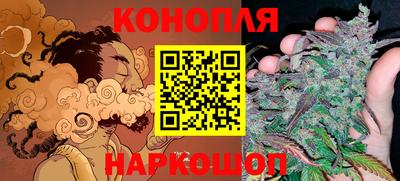 гидропоника Будённовск