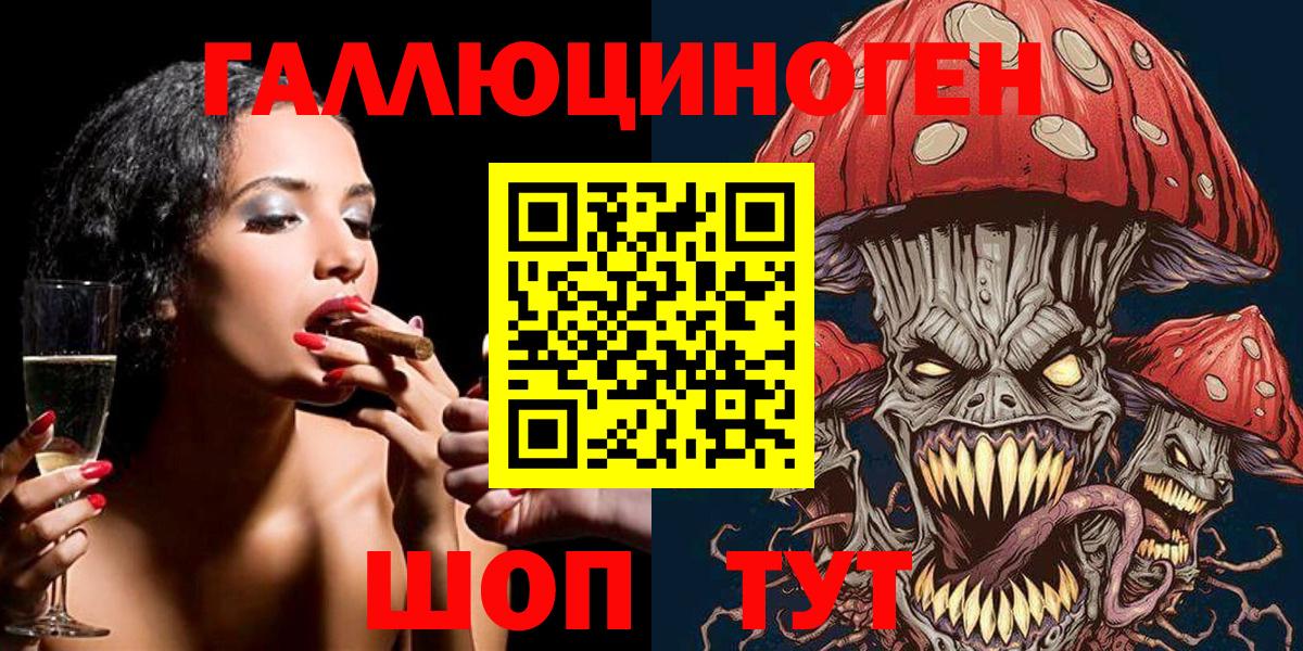 Черногорск  Псилоцибиновые грибы MAGIC MUSHROOMS  Псилоцибиновые грибы GOLDEN TEACHER  хочу наркоту  Вход с VPN 