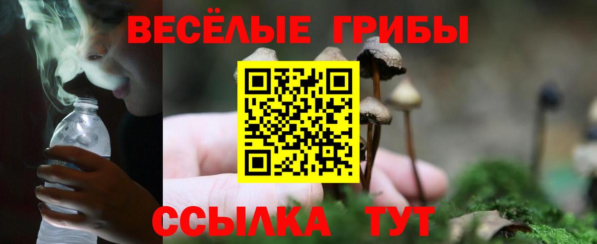 Псилоцибиновые грибы MAGIC MUSHROOMS Черногорск